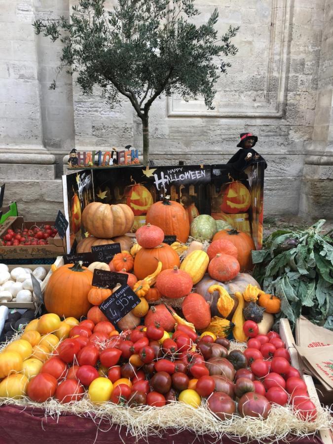 Un Coin De Luberon Lägenhet LʼIsle-sur-la-Sorgue Exteriör bild